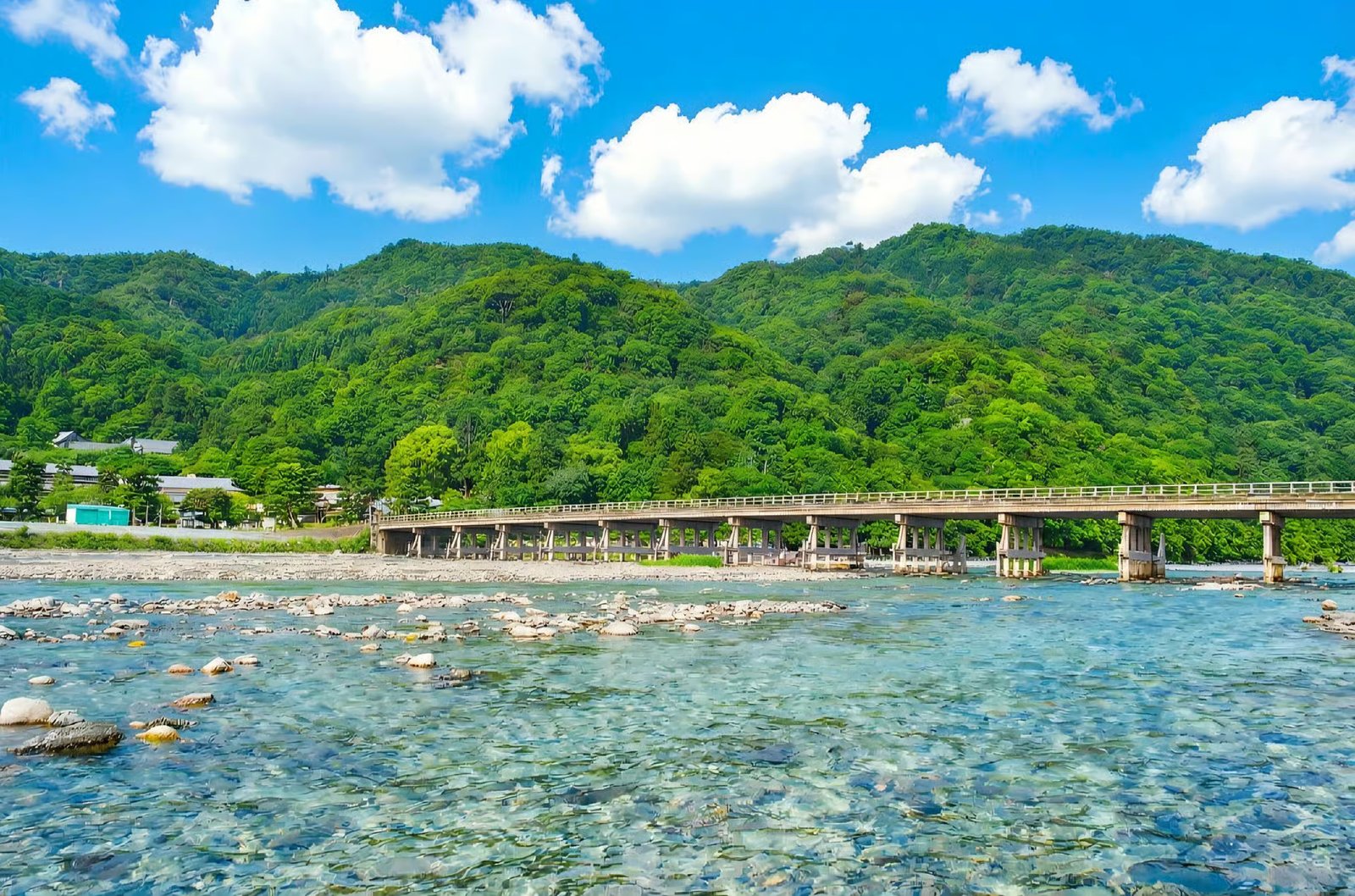 Arashiyama Bamboo Grove & Tenryu-ji