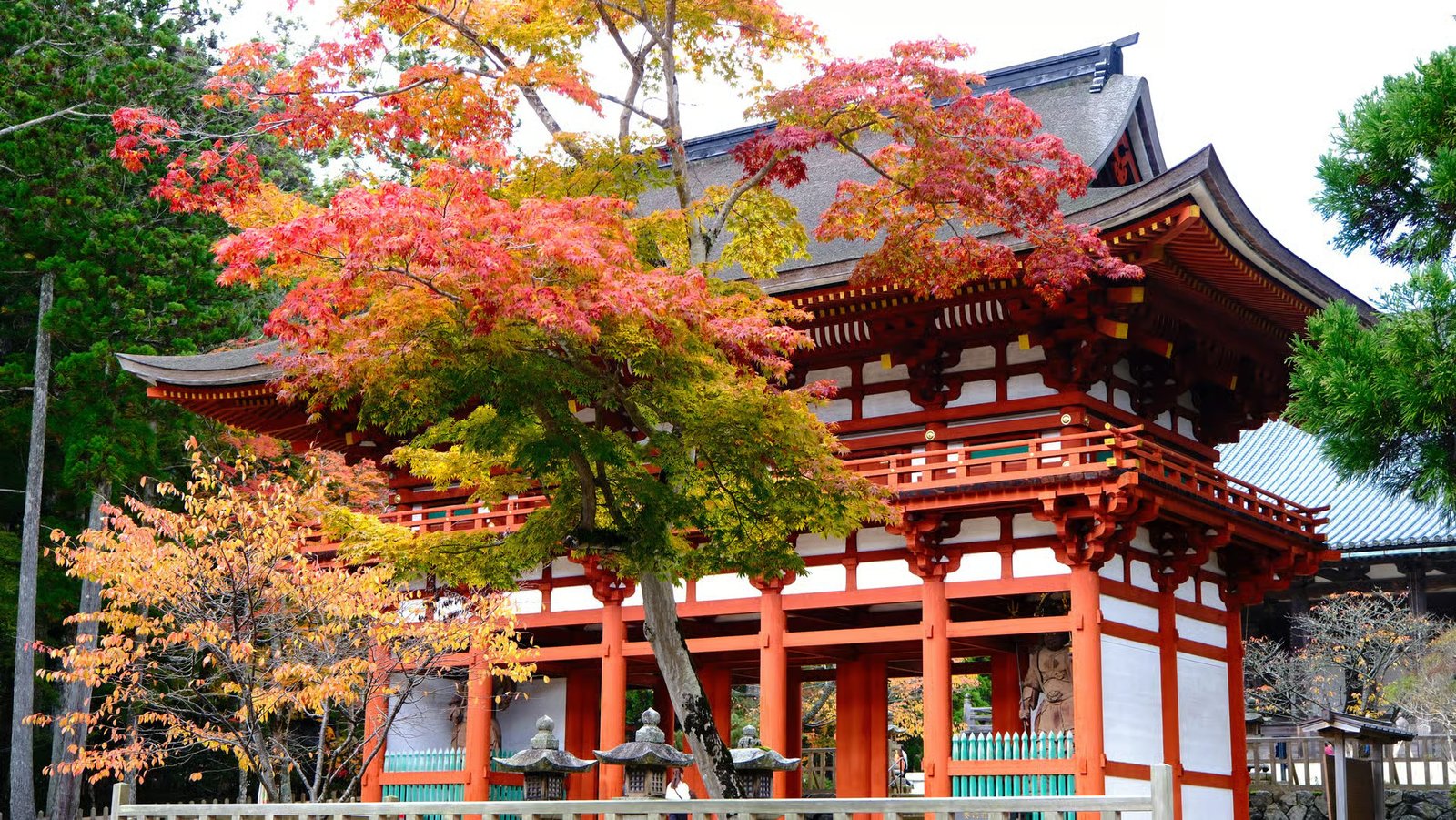 Mount Koya Sacred Buddhist Sanctuary & Temple Tour