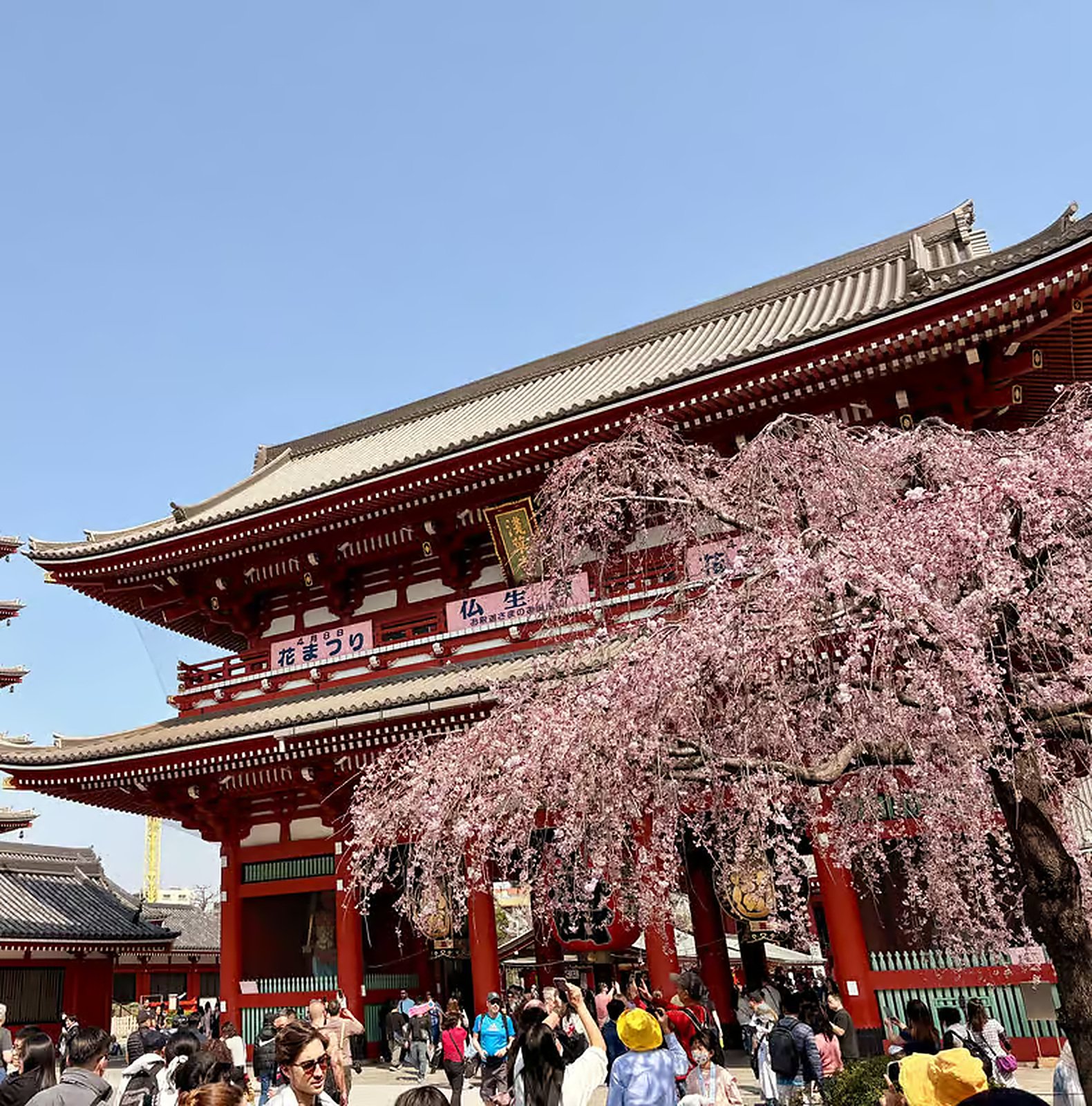 Tokyo Highlights Private Tour