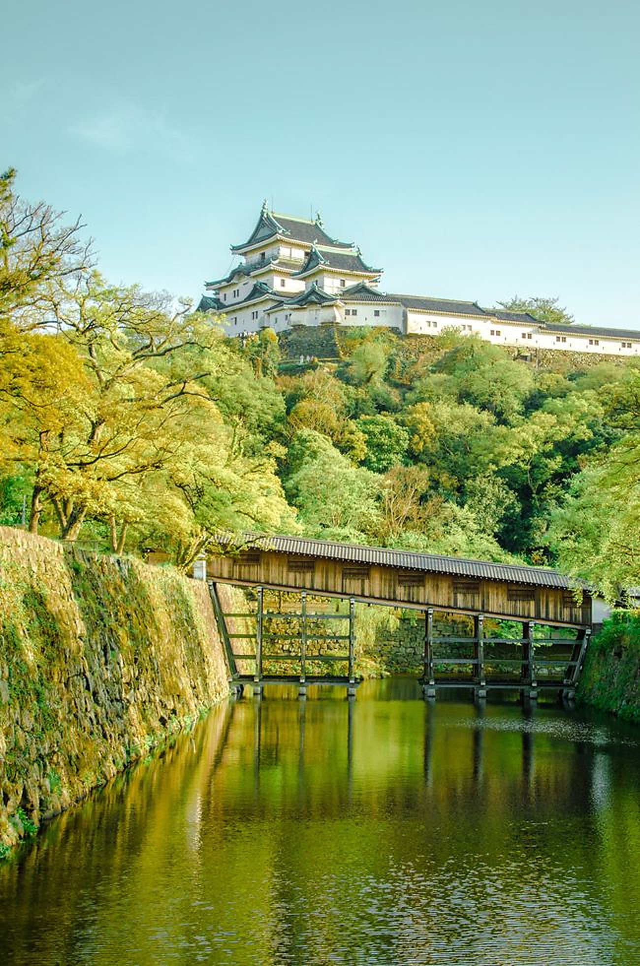 Wakayama Coastal Scenery & Castle Private Tour